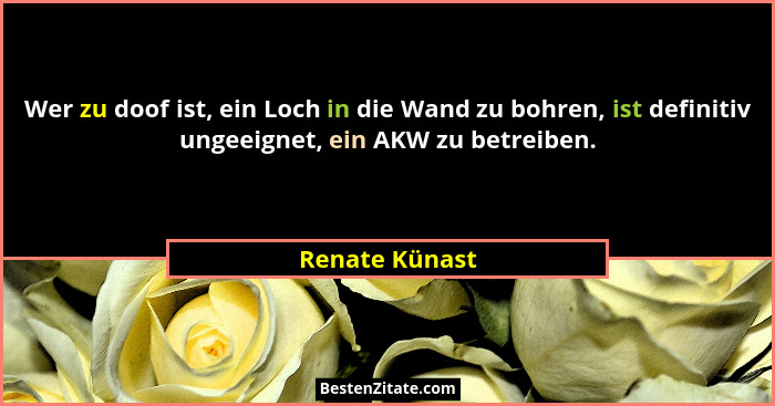 Wer zu doof ist, ein Loch in die Wand zu bohren, ist definitiv ungeeignet, ein AKW zu betreiben.... - Renate Künast