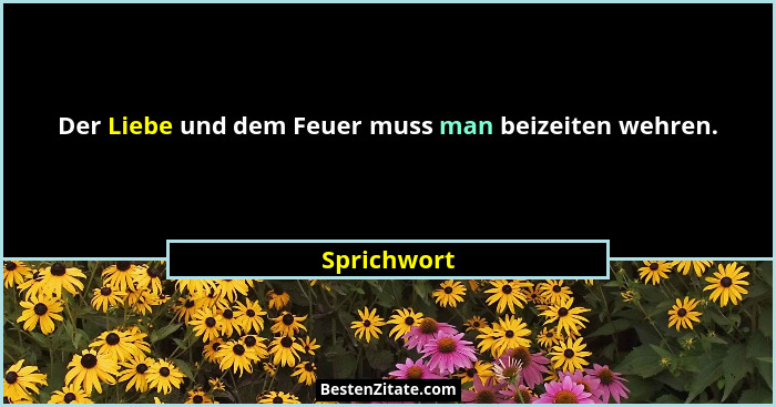 Der Liebe und dem Feuer muss man beizeiten wehren.... - Sprichwort
