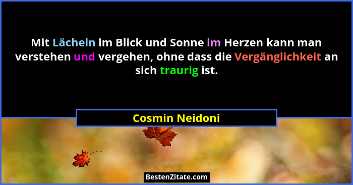 Mit Lächeln im Blick und Sonne im Herzen kann man verstehen und vergehen, ohne dass die Vergänglichkeit an sich traurig ist.... - Cosmin Neidoni