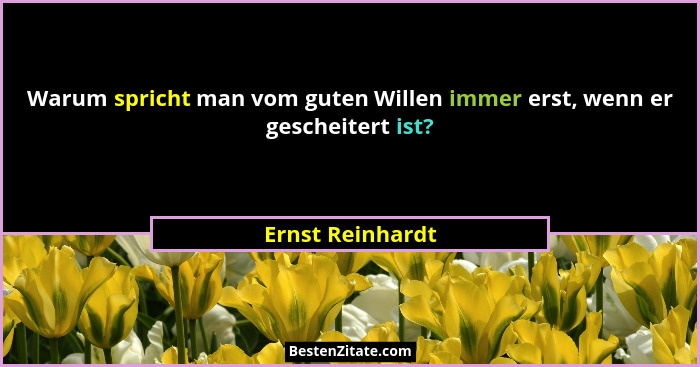Warum spricht man vom guten Willen immer erst, wenn er gescheitert ist?... - Ernst Reinhardt