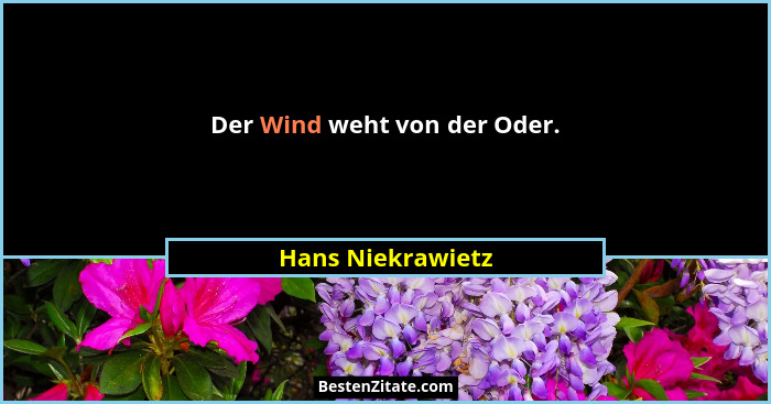 Der Wind weht von der Oder.... - Hans Niekrawietz