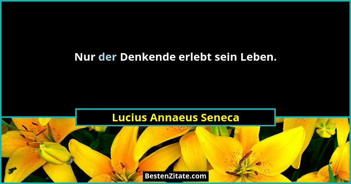 Nur der Denkende erlebt sein Leben.... - Lucius Annaeus Seneca