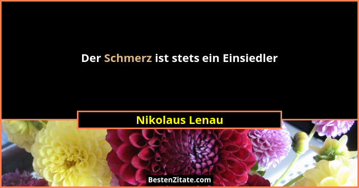 Der Schmerz ist stets ein Einsiedler... - Nikolaus Lenau