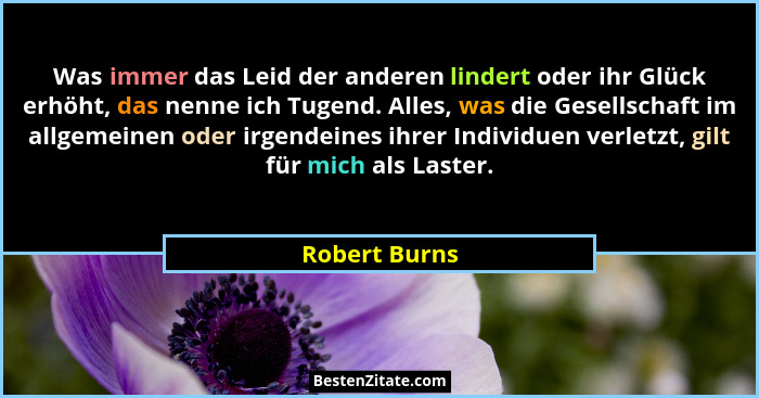 Was immer das Leid der anderen lindert oder ihr Glück erhöht, das nenne ich Tugend. Alles, was die Gesellschaft im allgemeinen oder irg... - Robert Burns
