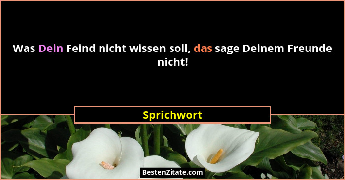Was Dein Feind nicht wissen soll, das sage Deinem Freunde nicht!... - Sprichwort
