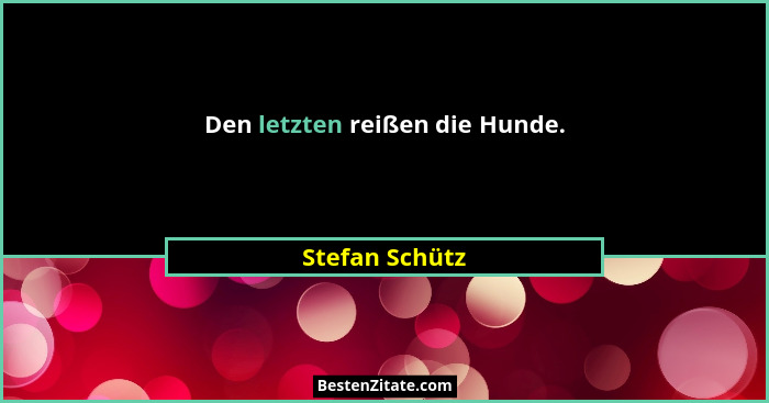 Den letzten reißen die Hunde.... - Stefan Schütz