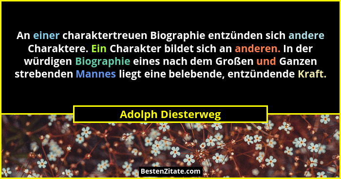 An einer charaktertreuen Biographie entzünden sich andere Charaktere. Ein Charakter bildet sich an anderen. In der würdigen Biogra... - Adolph Diesterweg