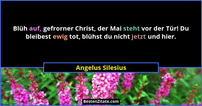 Blüh auf, gefrorner Christ, der Mai steht vor der Tür! Du bleibest ewig tot, blühst du nicht jetzt und hier.... - Angelus Silesius