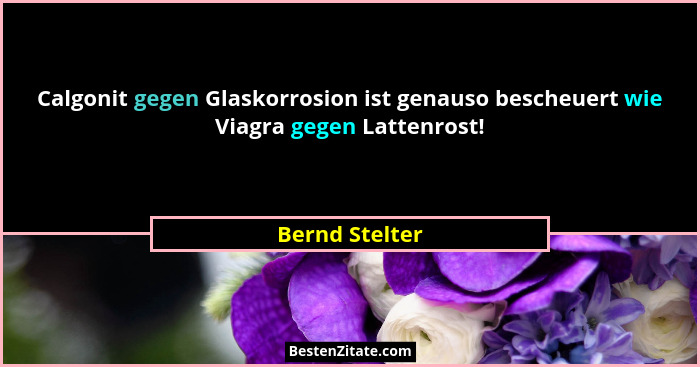 Calgonit gegen Glaskorrosion ist genauso bescheuert wie Viagra gegen Lattenrost!... - Bernd Stelter