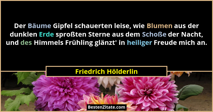 Der Bäume Gipfel schauerten leise, wie Blumen aus der dunklen Erde sproßten Sterne aus dem Schoße der Nacht, und des Himmels Frü... - Friedrich Hölderlin