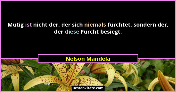 Mutig ist nicht der, der sich niemals fürchtet, sondern der, der diese Furcht besiegt.... - Nelson Mandela