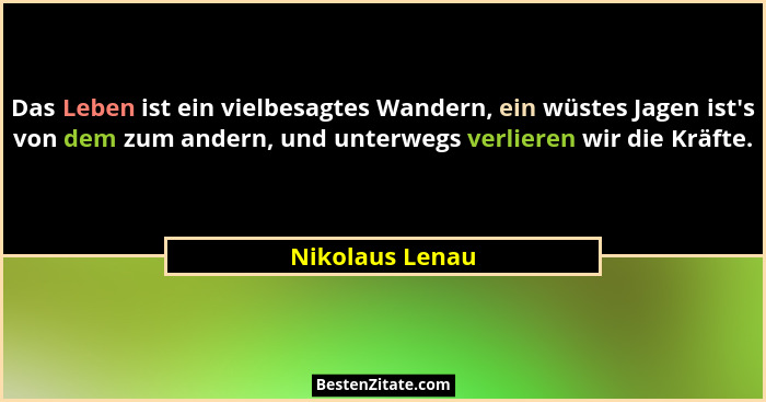 Das Leben ist ein vielbesagtes Wandern, ein wüstes Jagen ist's von dem zum andern, und unterwegs verlieren wir die Kräfte.... - Nikolaus Lenau