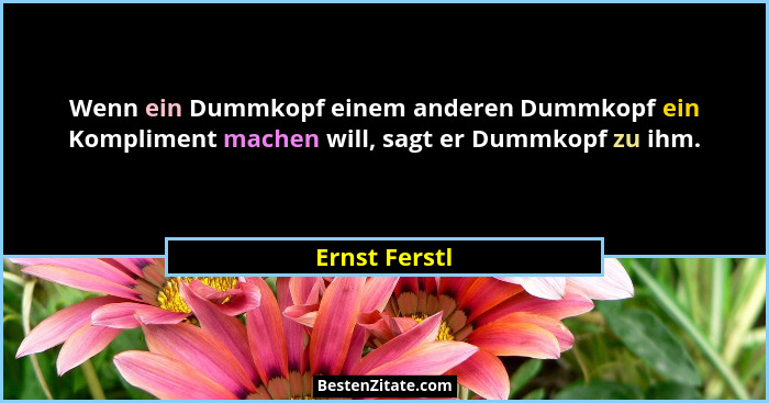 Wenn ein Dummkopf einem anderen Dummkopf ein Kompliment machen will, sagt er Dummkopf zu ihm.... - Ernst Ferstl