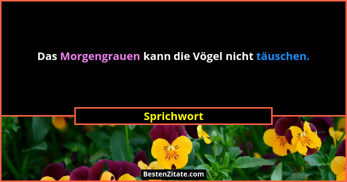 Das Morgengrauen kann die Vögel nicht täuschen.... - Sprichwort