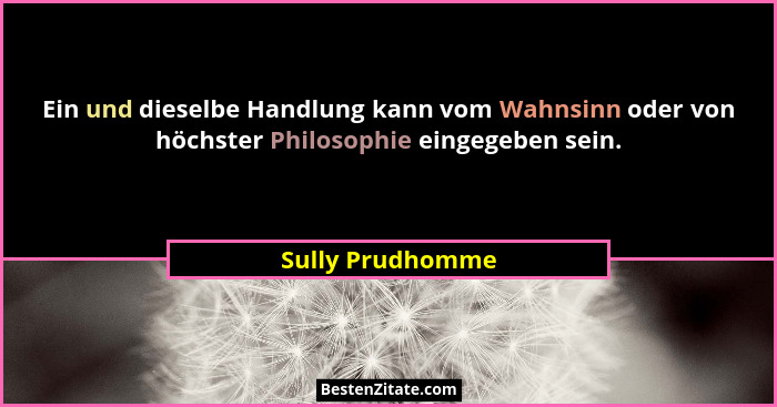 Ein und dieselbe Handlung kann vom Wahnsinn oder von höchster Philosophie eingegeben sein.... - Sully Prudhomme