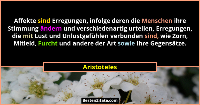 Affekte sind Erregungen, infolge deren die Menschen ihre Stimmung ändern und verschiedenartig urteilen, Erregungen, die mit Lust und Unl... - Aristoteles