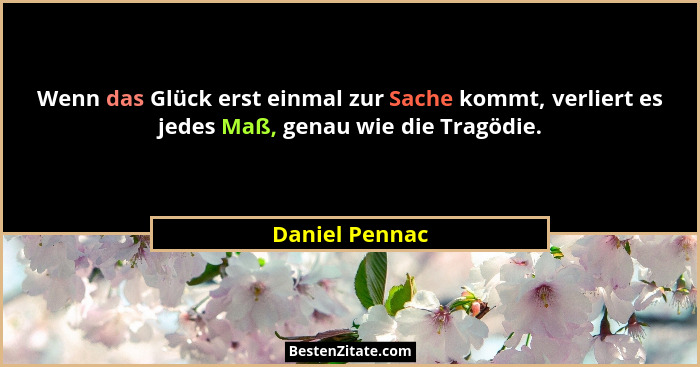 Wenn das Glück erst einmal zur Sache kommt, verliert es jedes Maß, genau wie die Tragödie.... - Daniel Pennac
