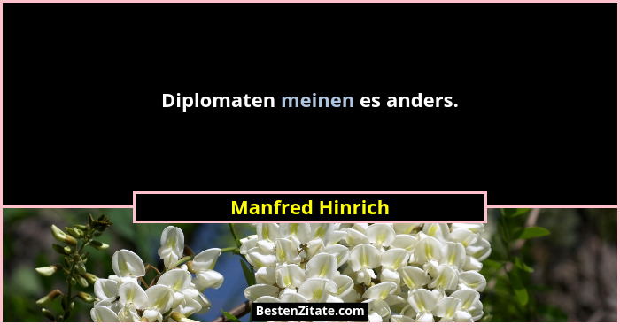 Diplomaten meinen es anders.... - Manfred Hinrich