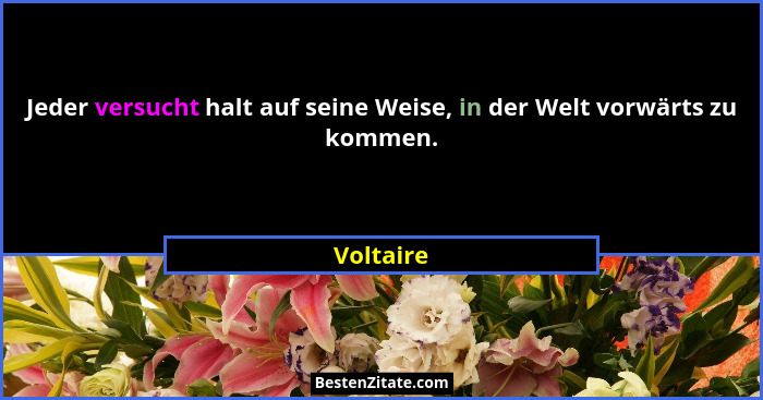Jeder versucht halt auf seine Weise, in der Welt vorwärts zu kommen.... - Voltaire