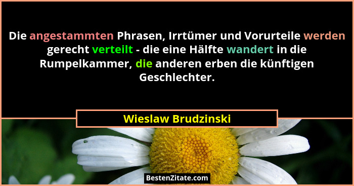 Die angestammten Phrasen, Irrtümer und Vorurteile werden gerecht verteilt - die eine Hälfte wandert in die Rumpelkammer, die ande... - Wieslaw Brudzinski