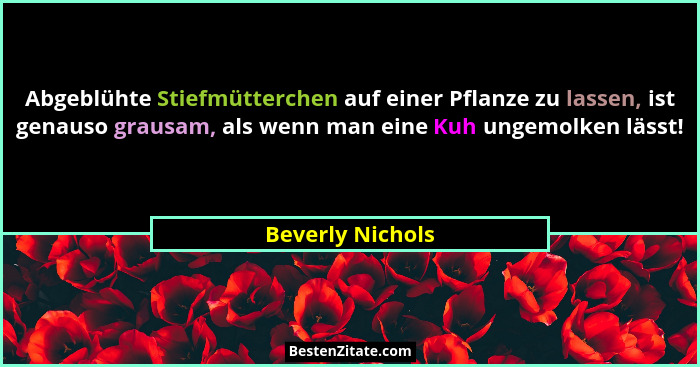 Abgeblühte Stiefmütterchen auf einer Pflanze zu lassen, ist genauso grausam, als wenn man eine Kuh ungemolken lässt!... - Beverly Nichols