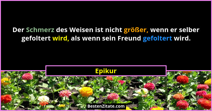 Der Schmerz des Weisen ist nicht größer, wenn er selber gefoltert wird, als wenn sein Freund gefoltert wird.... - Epikur