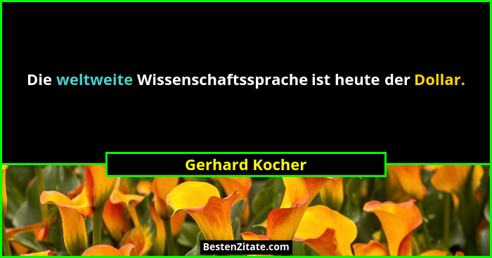 Die weltweite Wissenschaftssprache ist heute der Dollar.... - Gerhard Kocher