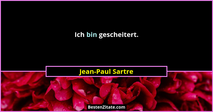 Ich bin gescheitert.... - Jean-Paul Sartre