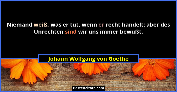 Niemand weiß, was er tut, wenn er recht handelt; aber des Unrechten sind wir uns immer bewußt.... - Johann Wolfgang von Goethe