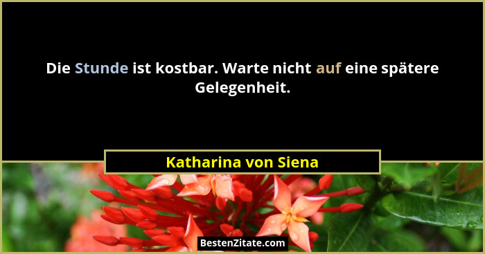 Die Stunde ist kostbar. Warte nicht auf eine spätere Gelegenheit.... - Katharina von Siena