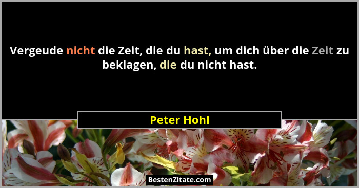 Vergeude nicht die Zeit, die du hast, um dich über die Zeit zu beklagen, die du nicht hast.... - Peter Hohl