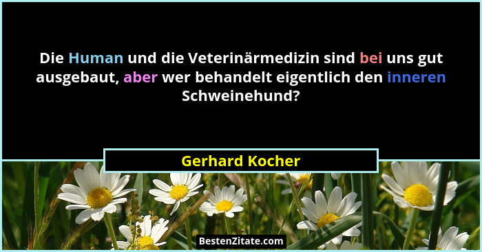 Die Human und die Veterinärmedizin sind bei uns gut ausgebaut, aber wer behandelt eigentlich den inneren Schweinehund?... - Gerhard Kocher