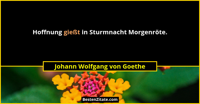 Hoffnung gießt in Sturmnacht Morgenröte.... - Johann Wolfgang von Goethe