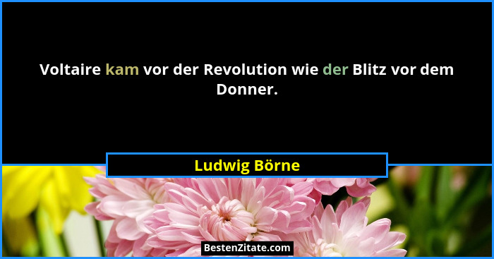 Voltaire kam vor der Revolution wie der Blitz vor dem Donner.... - Ludwig Börne