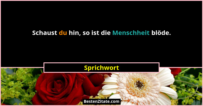 Schaust du hin, so ist die Menschheit blöde.... - Sprichwort