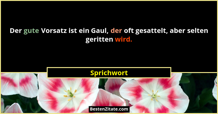 Der gute Vorsatz ist ein Gaul, der oft gesattelt, aber selten geritten wird.... - Sprichwort