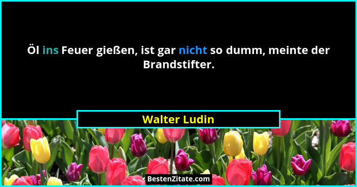 Öl ins Feuer gießen, ist gar nicht so dumm, meinte der Brandstifter.... - Walter Ludin