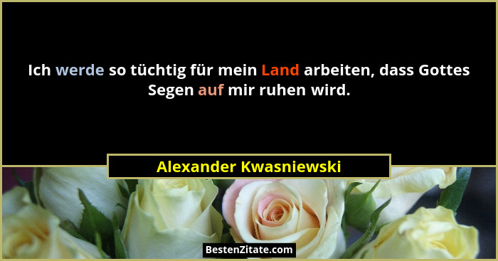 Ich werde so tüchtig für mein Land arbeiten, dass Gottes Segen auf mir ruhen wird.... - Alexander Kwasniewski