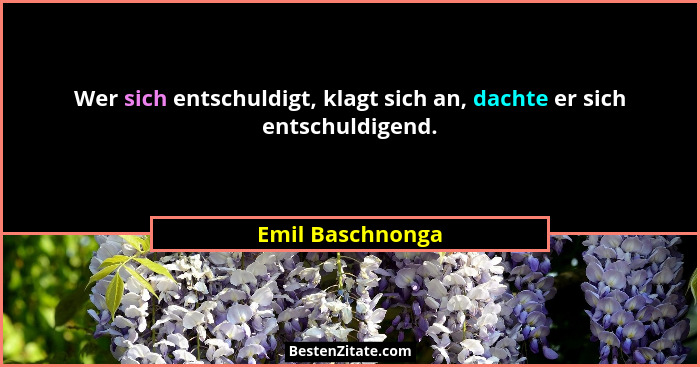 Wer sich entschuldigt, klagt sich an, dachte er sich entschuldigend.... - Emil Baschnonga