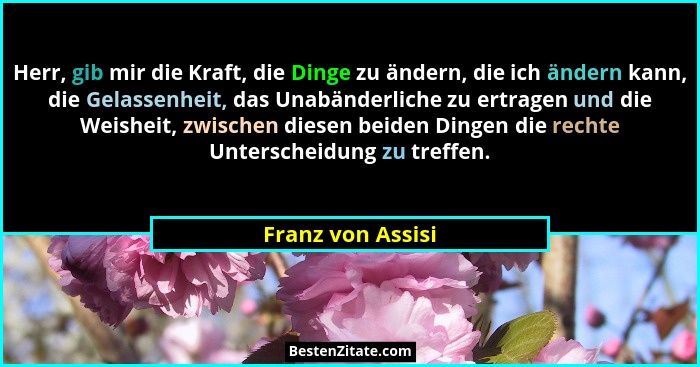 Herr, gib mir die Kraft, die Dinge zu ändern, die ich ändern kann, die Gelassenheit, das Unabänderliche zu ertragen und die Weishei... - Franz von Assisi