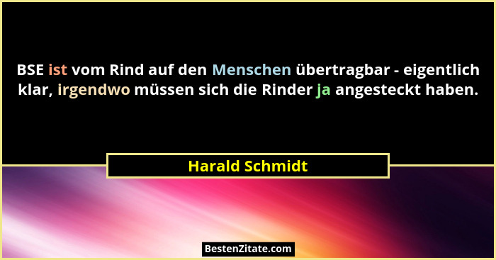 BSE ist vom Rind auf den Menschen übertragbar - eigentlich klar, irgendwo müssen sich die Rinder ja angesteckt haben.... - Harald Schmidt
