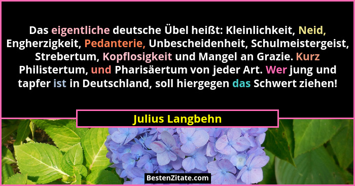 Das eigentliche deutsche Übel heißt: Kleinlichkeit, Neid, Engherzigkeit, Pedanterie, Unbescheidenheit, Schulmeistergeist, Strebertum... - Julius Langbehn