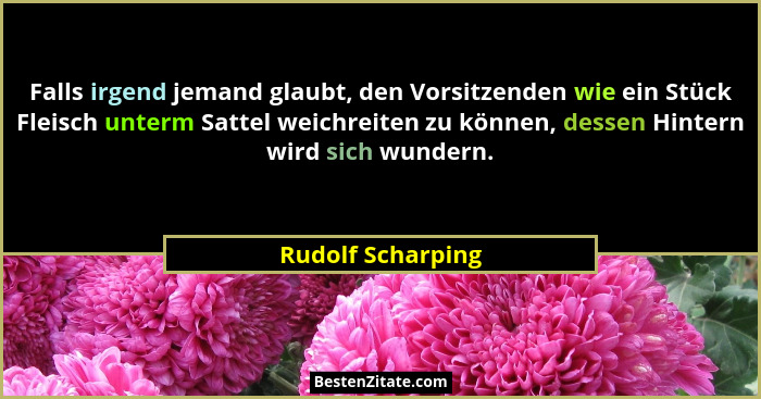 Falls irgend jemand glaubt, den Vorsitzenden wie ein Stück Fleisch unterm Sattel weichreiten zu können, dessen Hintern wird sich wu... - Rudolf Scharping