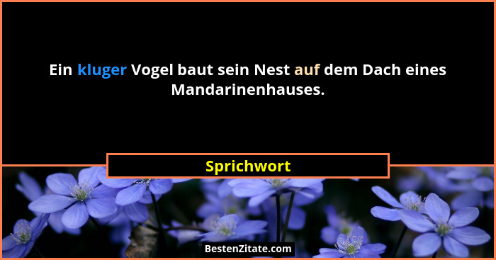 Ein kluger Vogel baut sein Nest auf dem Dach eines Mandarinenhauses.... - Sprichwort