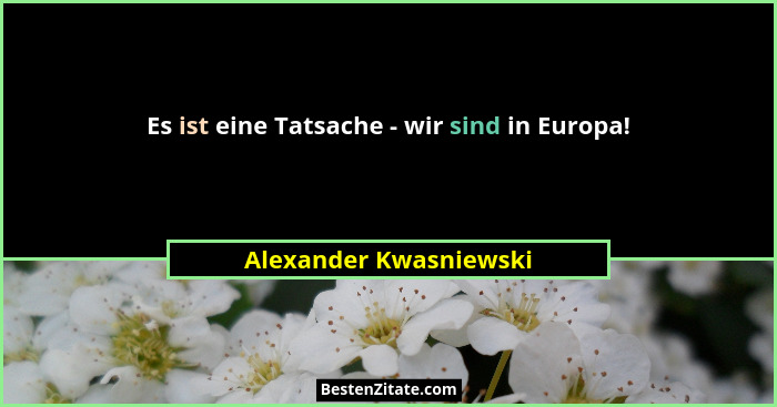 Es ist eine Tatsache - wir sind in Europa!... - Alexander Kwasniewski