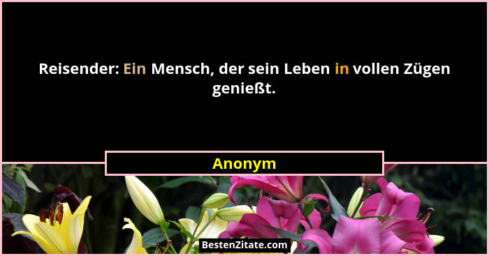 Reisender: Ein Mensch, der sein Leben in vollen Zügen genießt.... - Anonym