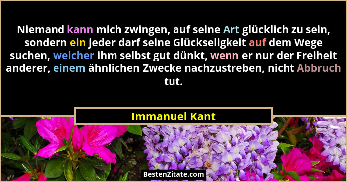 Niemand kann mich zwingen, auf seine Art glücklich zu sein, sondern ein jeder darf seine Glückseligkeit auf dem Wege suchen, welcher i... - Immanuel Kant