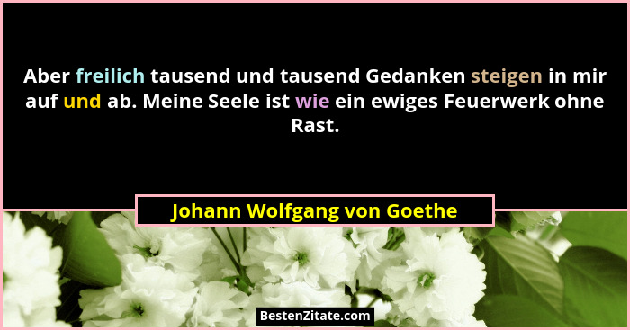 Aber freilich tausend und tausend Gedanken steigen in mir auf und ab. Meine Seele ist wie ein ewiges Feuerwerk ohne Rast.... - Johann Wolfgang von Goethe