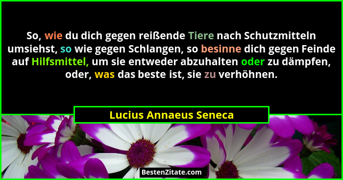So, wie du dich gegen reißende Tiere nach Schutzmitteln umsiehst, so wie gegen Schlangen, so besinne dich gegen Feinde auf Hil... - Lucius Annaeus Seneca