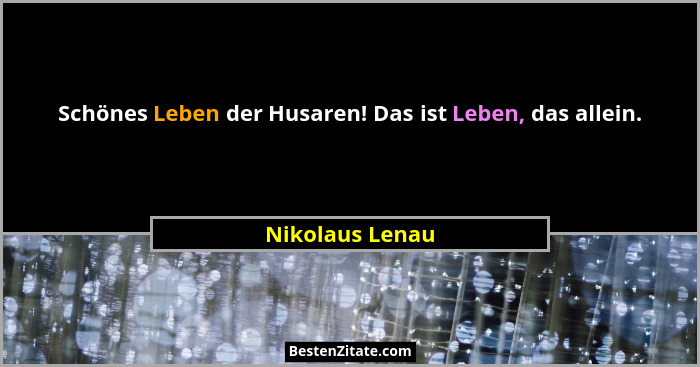 Schönes Leben der Husaren! Das ist Leben, das allein.... - Nikolaus Lenau